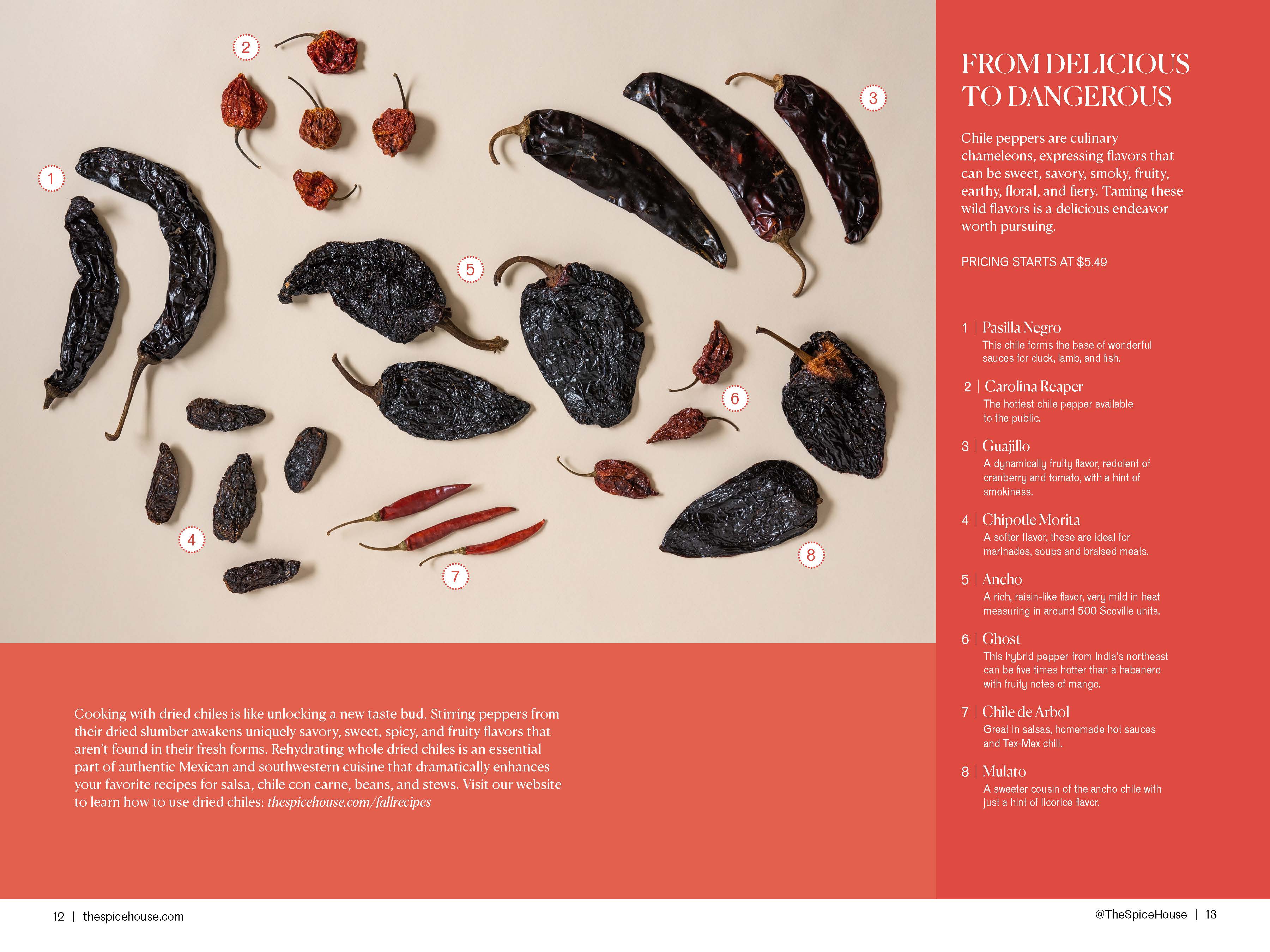 Spice House chili guide catalog spread