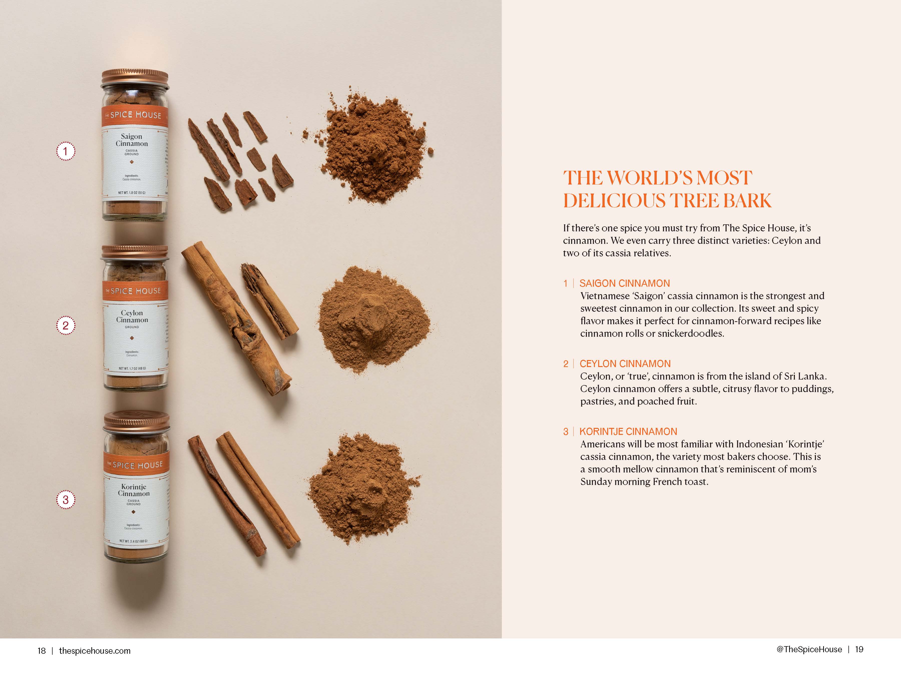 Spice House cinnamon guide catalog spread
